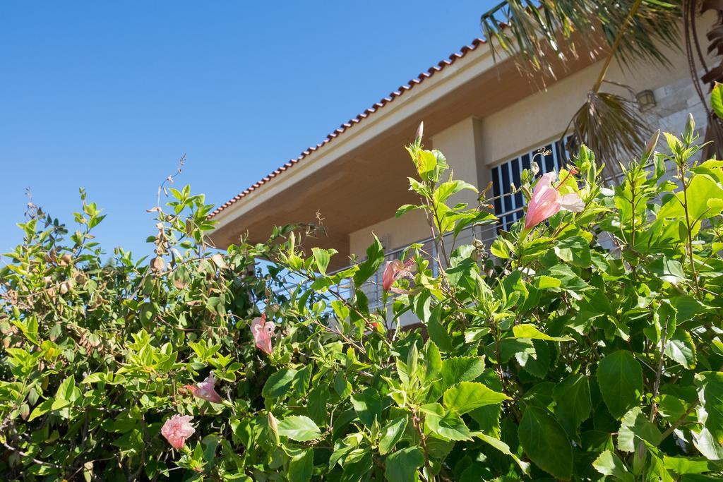 Sunset Beach House カト・アレポコリオン エクステリア 写真